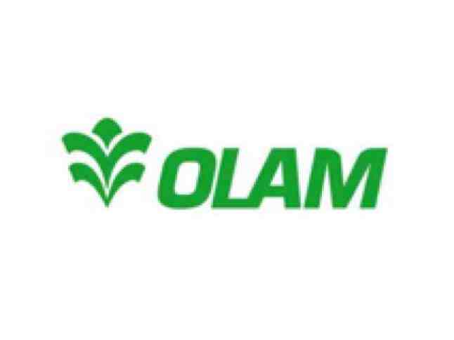 Olam