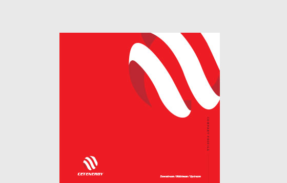 Download Investors Brochure